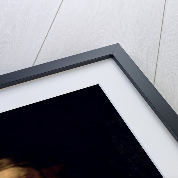 An Old Man in Red by Rembrandt Harmensz. van Rijn