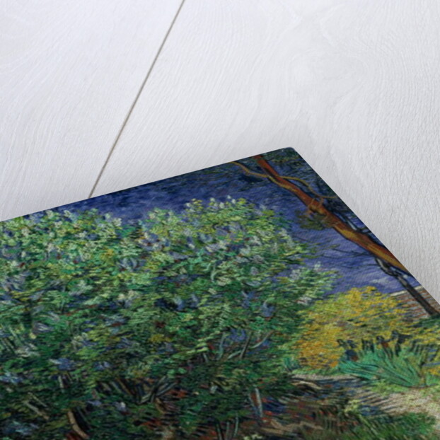 Lilac Bush, 1889 by Vincent van Gogh