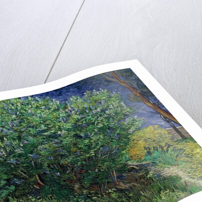 Lilac Bush, 1889 by Vincent van Gogh