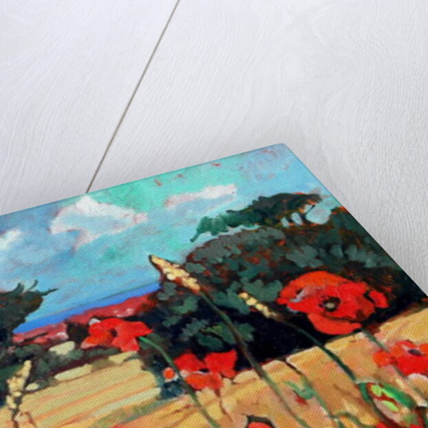 Kent Poppies, 2007 by Clive Metcalfe