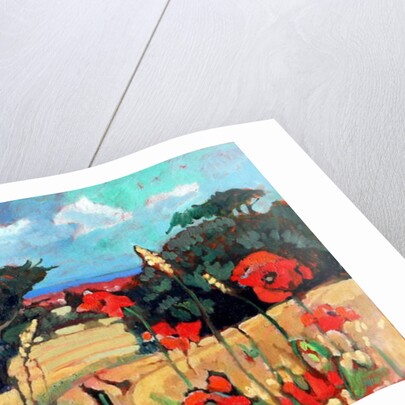 Kent Poppies, 2007 by Clive Metcalfe