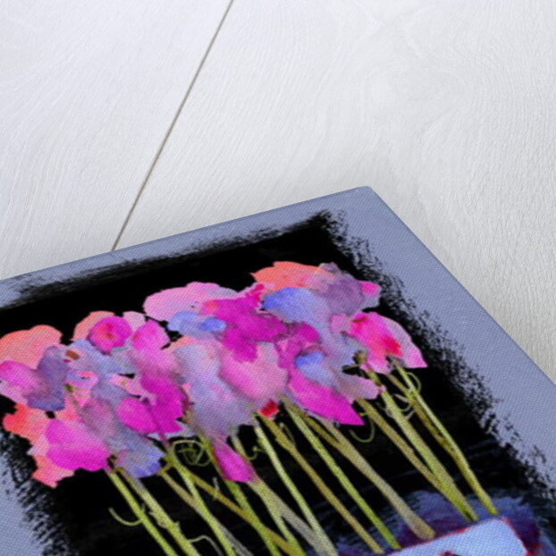 Sweet Peas, 2009 by Clive Metcalfe