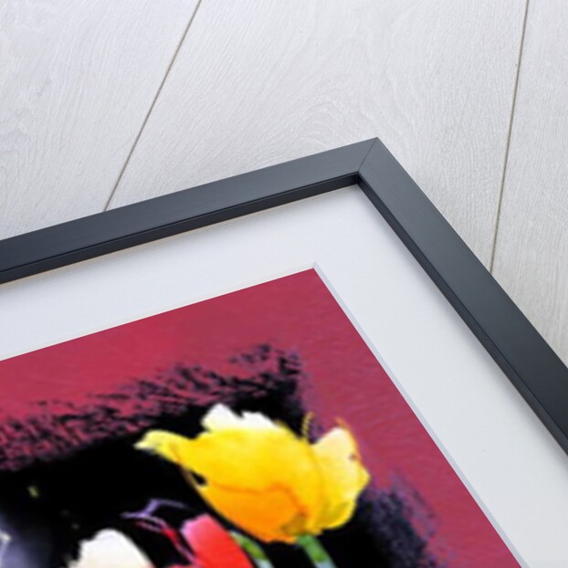 Tulips, 2009 by Clive Metcalfe
