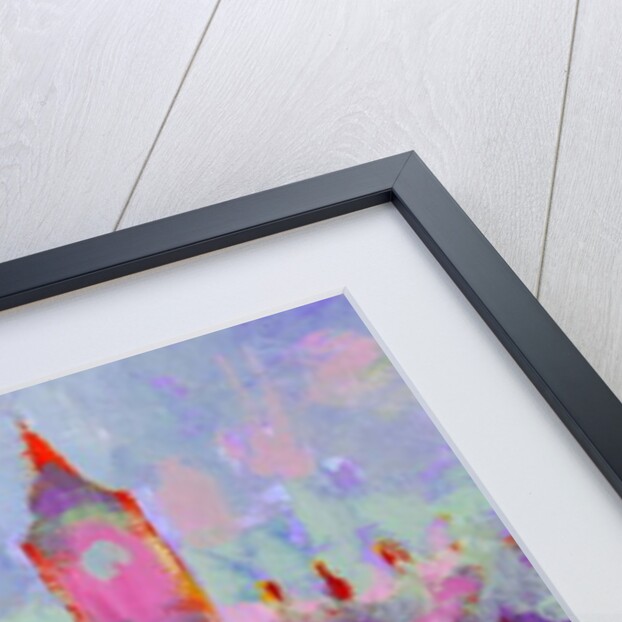 Westminster Fauve, 2007 by Clive Metcalfe