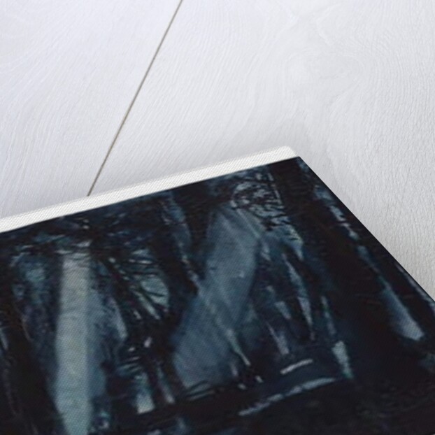 Moonlit Woods by Michael Frith