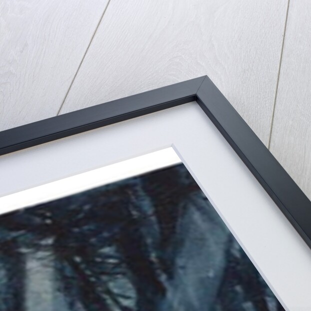 Moonlit Woods by Michael Frith