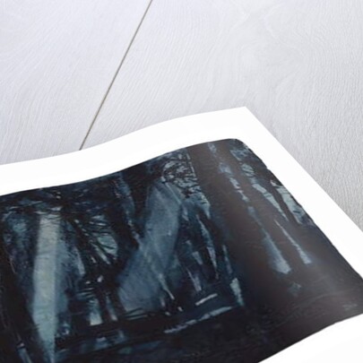 Moonlit Woods by Michael Frith