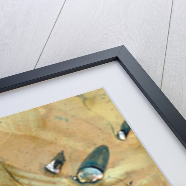 Sand by Michael Frith