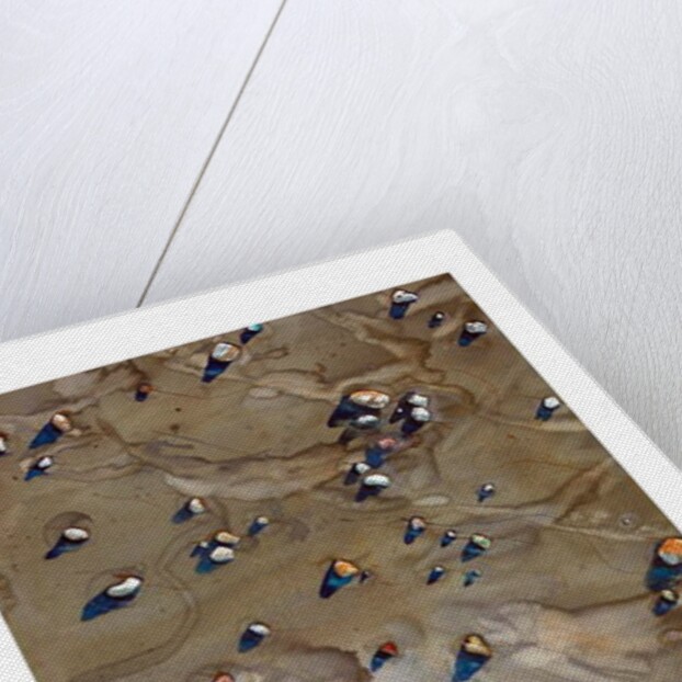 Pebbles by Michael Frith