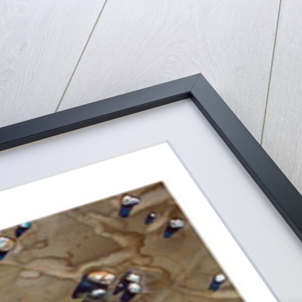 Pebbles by Michael Frith