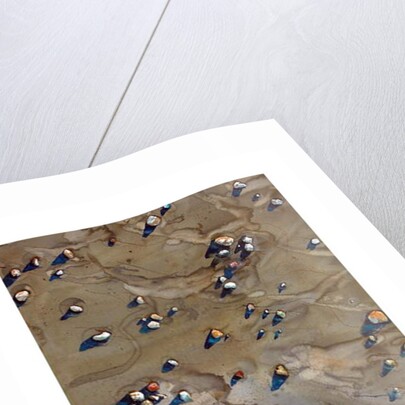 Pebbles by Michael Frith