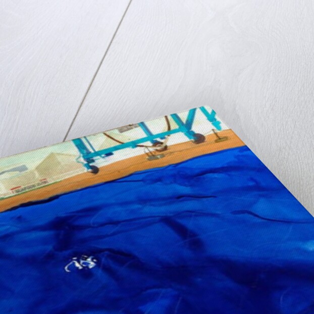 White Wings by Michael Frith