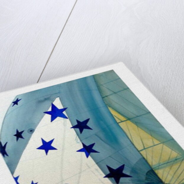 Endeavour by Michael Frith