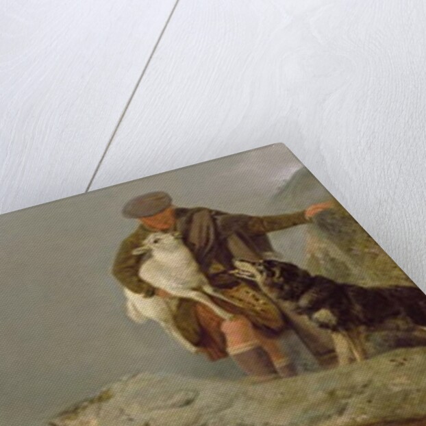 The Rescue, 1883 by Richard Ansdell