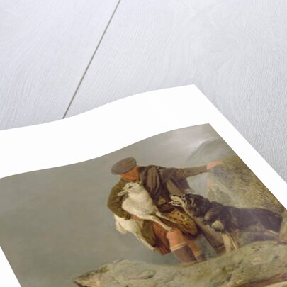 The Rescue, 1883 by Richard Ansdell