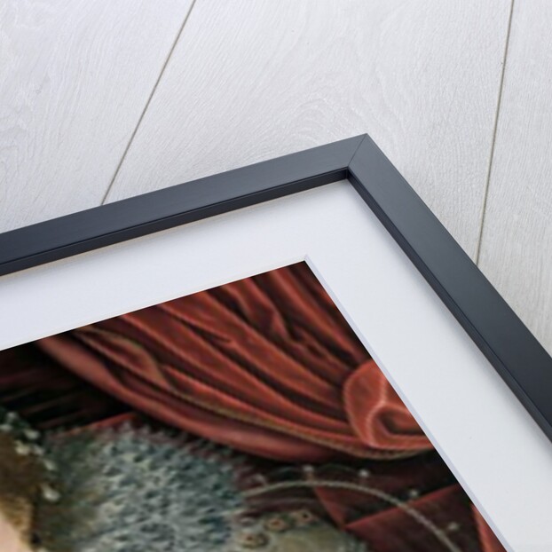 Portrait thought to be of Queen Elizabeth I hanging in the Great Hall by English School
