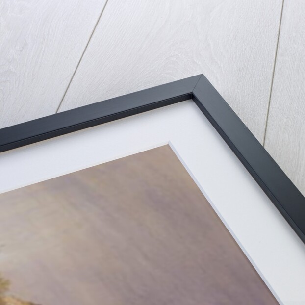 Tillycairn Castle, 1840s by James Giles