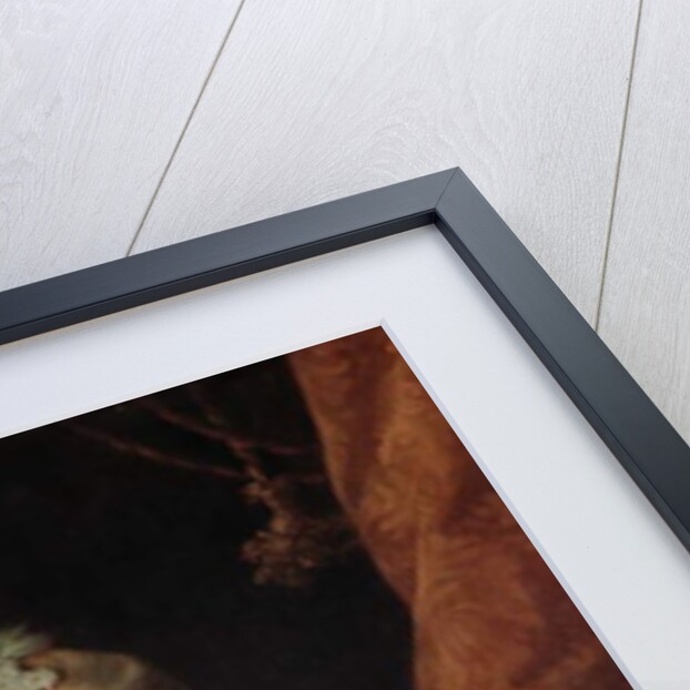 Lady Susan Fox-Strangways, 1761 by Allan Ramsay