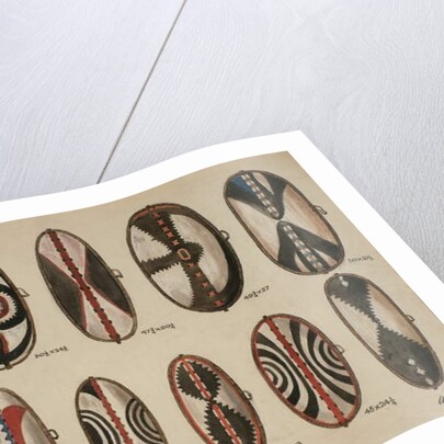 Uganda - Painted hide shields, 1909 by William Downing Webster
