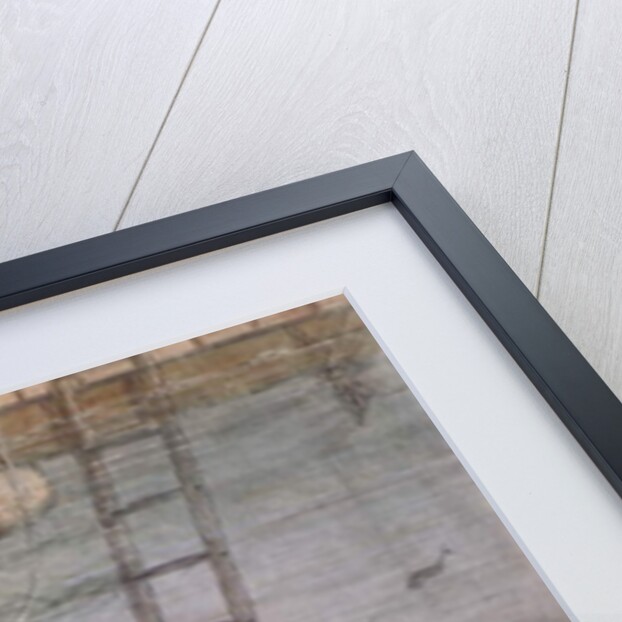 Diving for gold in the Ancobra River, 1878 by General E.W. Wray