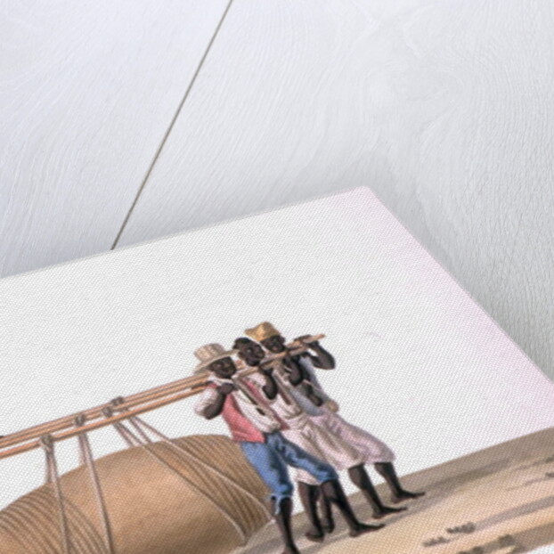 Wine Carriers by Joaquim Candido Guillobel