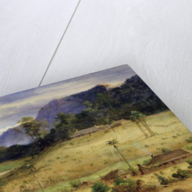 Homesteads, c.1850 by Australasian School