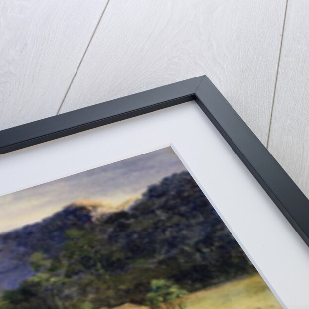 Homesteads, c.1850 by Australasian School