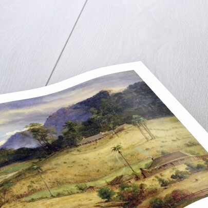 Homesteads, c.1850 by Australasian School