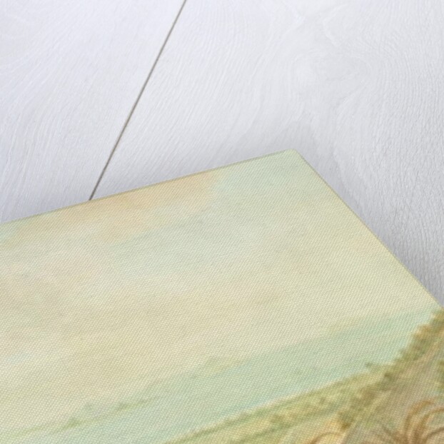 View in the Lesser Antilles, c.1785 by Nicholas Pocock