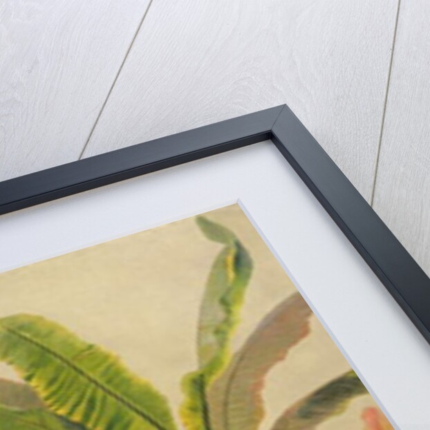 Banana Tree, c.1865 by Frederic Edwin Church