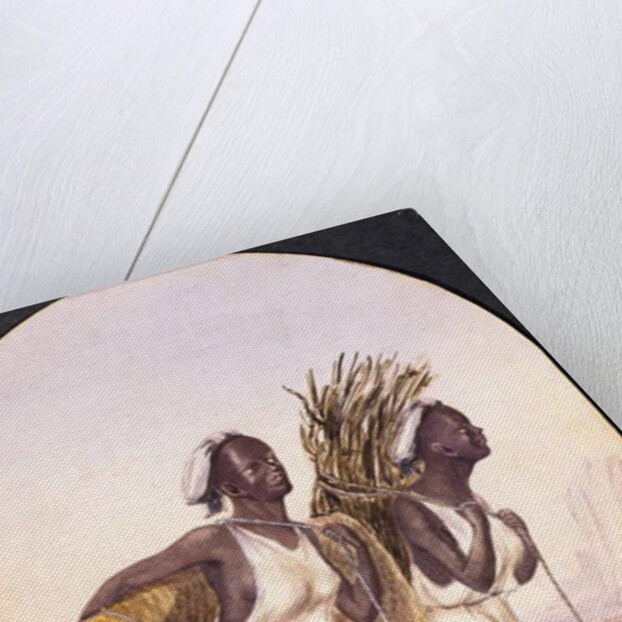 Somali Women at Aden, 1858 by Maitland Warren Bouverie Pasley