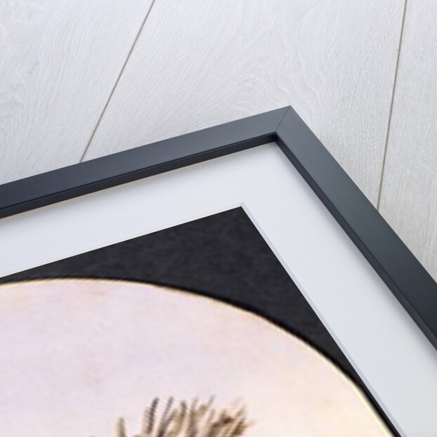 Somali Women at Aden, 1858 by Maitland Warren Bouverie Pasley