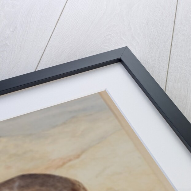 Mule by English School