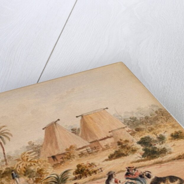 The Homestead, Savu Bay, Fiji, 1870 by Samuel Thomas Gill