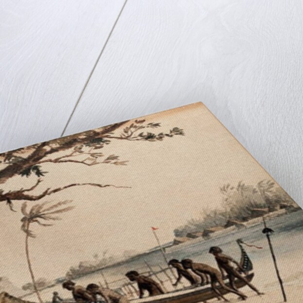 Solomon Islands, 1901 by William Twizell Wawn