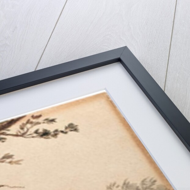 Solomon Islands, 1901 by William Twizell Wawn