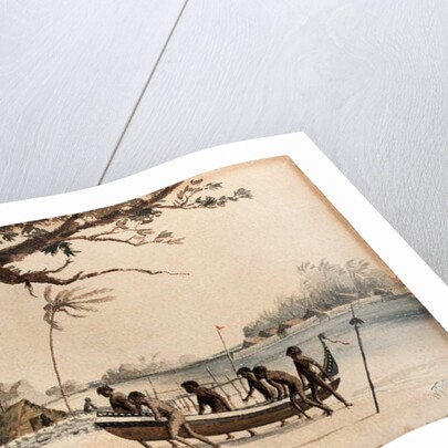 Solomon Islands, 1901 by William Twizell Wawn