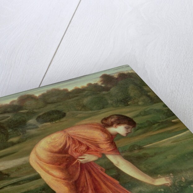 The March Marigold, c.1870 by Edward Coley Burne-Jones