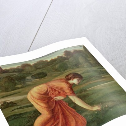 The March Marigold, c.1870 by Edward Coley Burne-Jones