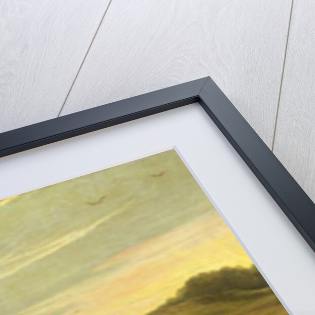 The Tortoise and the Hare, from Aesop's 'Fables' by Jan Wildens