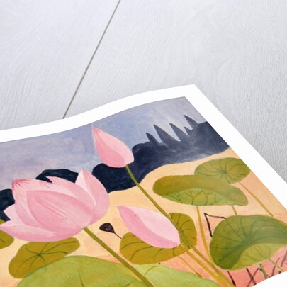 Lotus in the Garrigue, 1984 by Marie Hugo