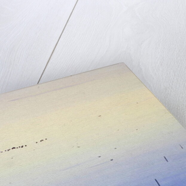 Le Vaccares, 1987 by Marie Hugo