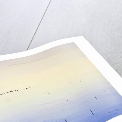 Le Vaccares, 1987 by Marie Hugo