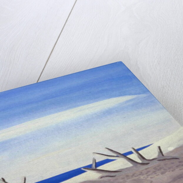 Bois Flottes du Grand Radeau, 1987 by Marie Hugo