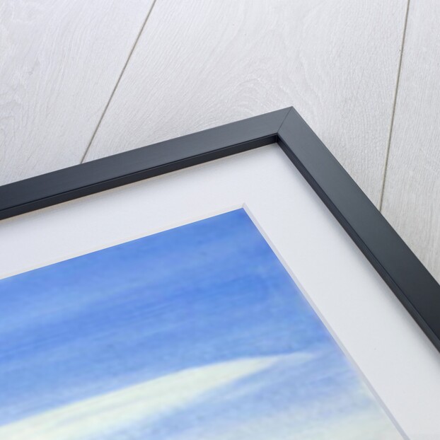 Bois Flottes du Grand Radeau, 1987 by Marie Hugo