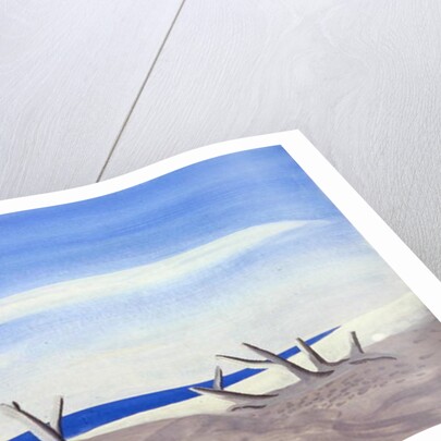 Bois Flottes du Grand Radeau, 1987 by Marie Hugo