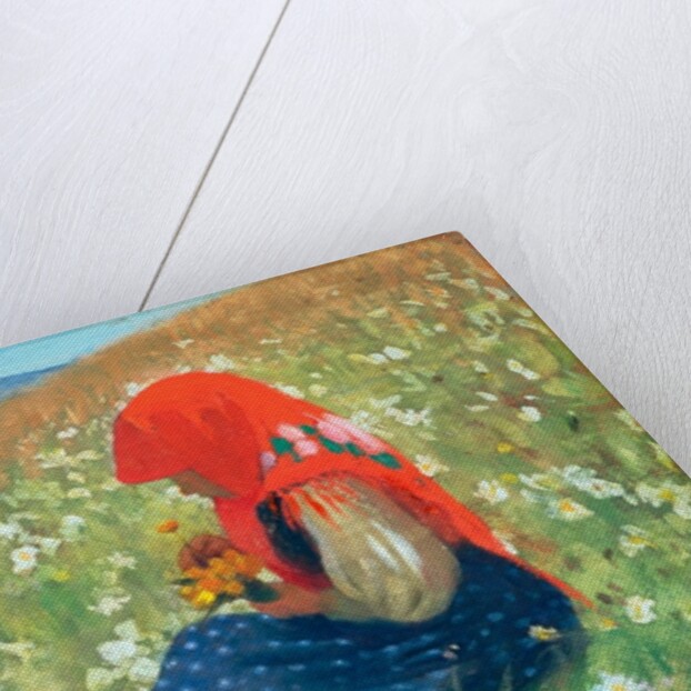 Girl of the Tatra, c.1905-07 by Marianne Stokes