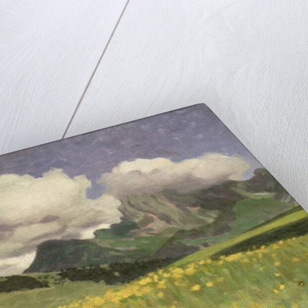 A Field of Marigolds, Lower Alps, 1902 by Adrian Scott Stokes