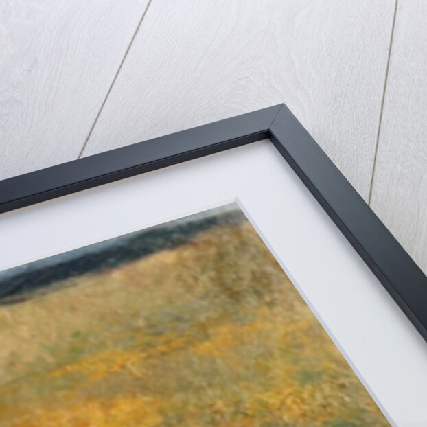 In a Field of Buttercups by Marianne Stokes