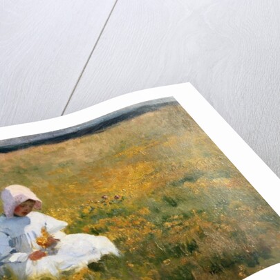 In a Field of Buttercups by Marianne Stokes